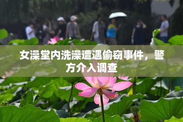 女澡堂内洗澡遭遇偷窃事件，警方介入调查