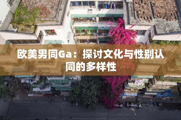 欧美男同Ga：探讨文化与性别认同的多样性