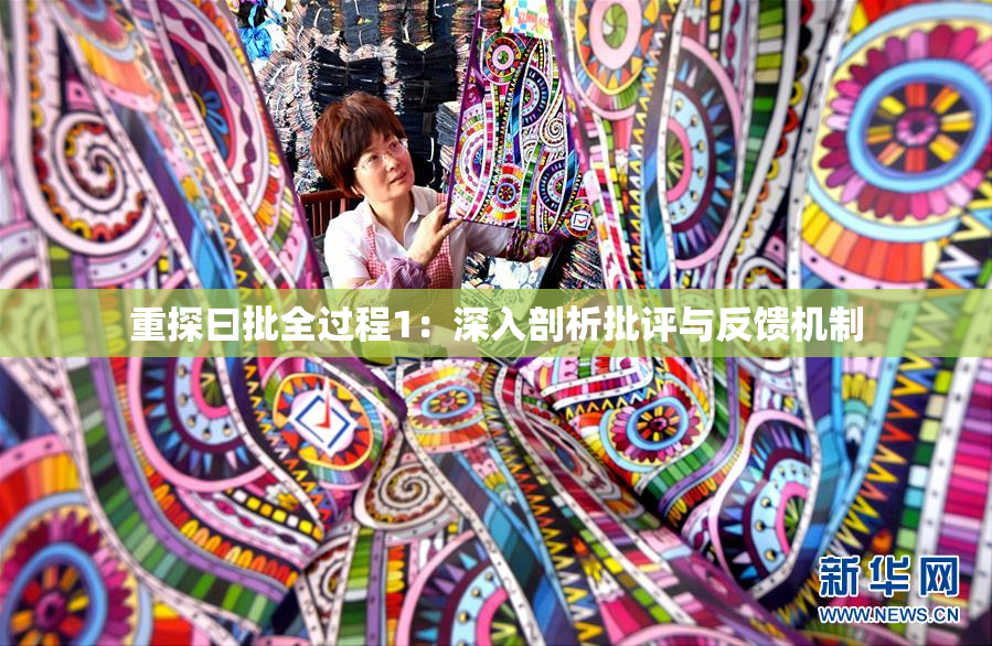 重探曰批全过程1：深入剖析批评与反馈机制