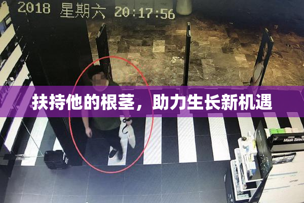 扶持他的根茎，助力生长新机遇
