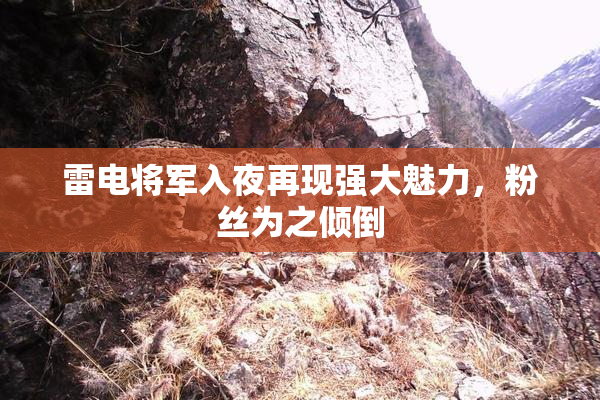 雷电将军入夜再现强大魅力，粉丝为之倾倒