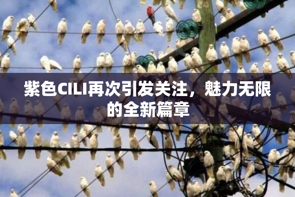 紫色CILI再次引发关注，魅力无限的全新篇章