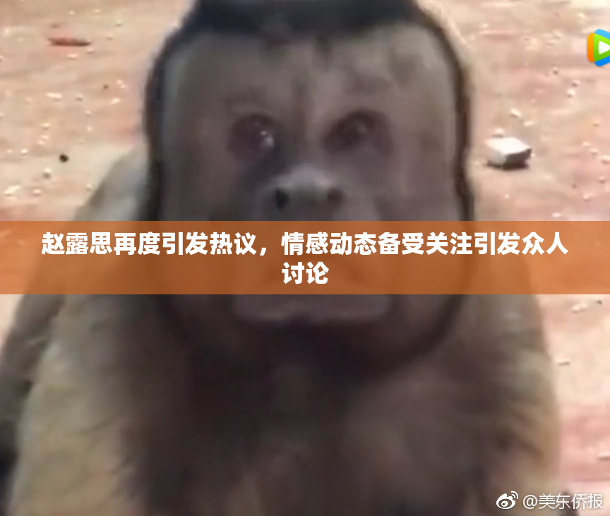 赵露思再度引发热议，情感动态备受关注引发众人讨论
