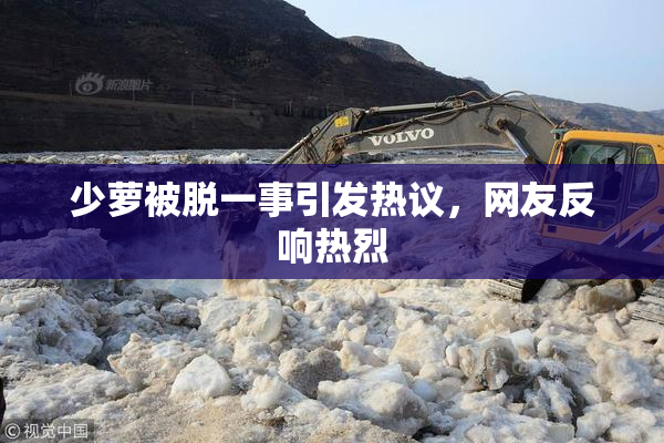 少萝被脱一事引发热议，网友反响热烈