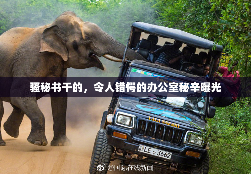 骚秘书干的，令人错愕的办公室秘辛曝光