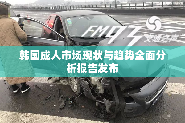 韩国成人市场现状与趋势全面分析报告发布