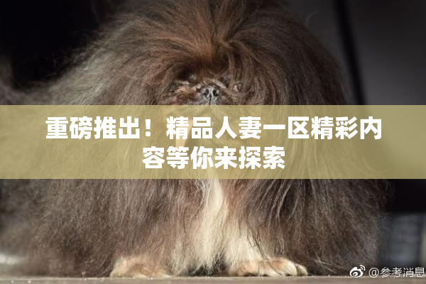 重磅推出！精品人妻一区精彩内容等你来探索