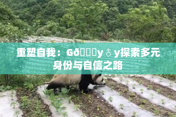 重塑自我：G🈚y♂y探索多元身份与自信之路