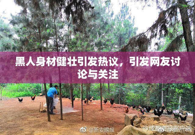 黑人身材健壮引发热议，引发网友讨论与关注