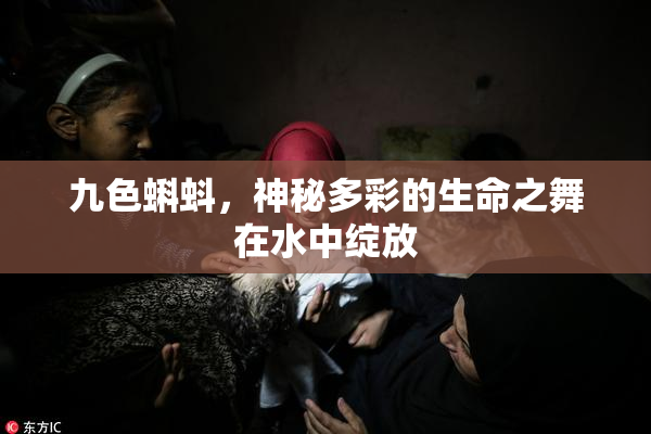 九色蝌蚪，神秘多彩的生命之舞在水中绽放
