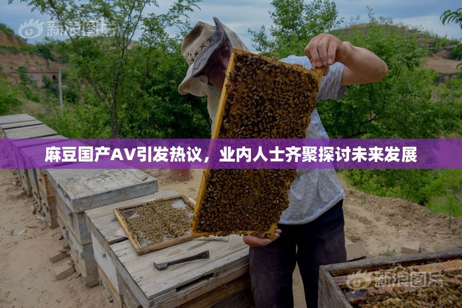 麻豆国产AV引发热议，业内人士齐聚探讨未来发展