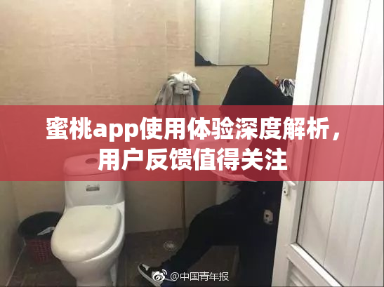 蜜桃app使用体验深度解析，用户反馈值得关注