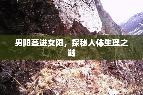 男阳茎进女阳，探秘人体生理之谜