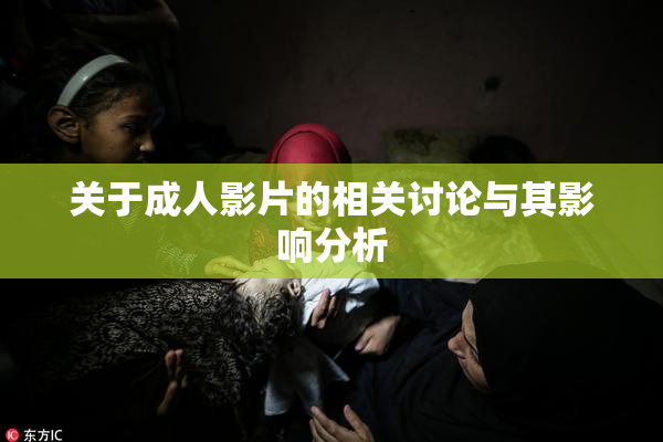 关于成人影片的相关讨论与其影响分析