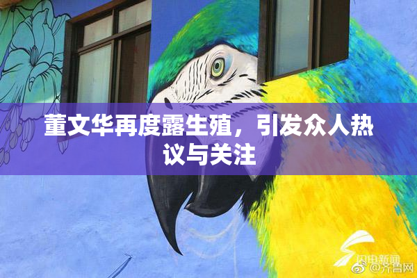董文华再度露生殖，引发众人热议与关注