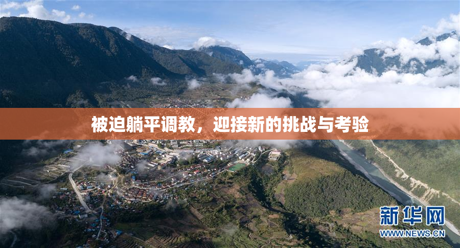 被迫躺平调教，迎接新的挑战与考验