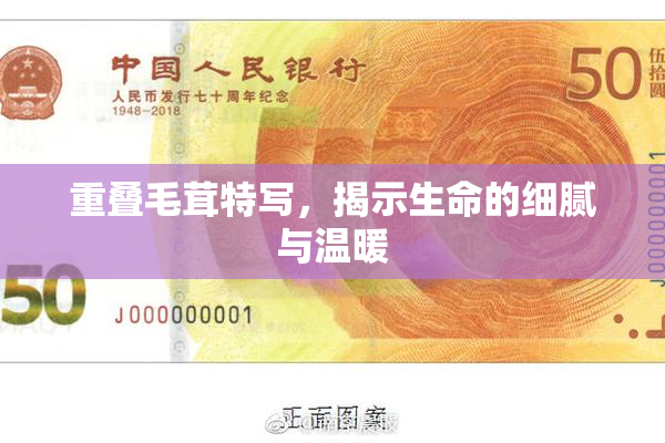 重叠毛茸特写，揭示生命的细腻与温暖