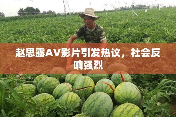 赵思露AV影片引发热议，社会反响强烈