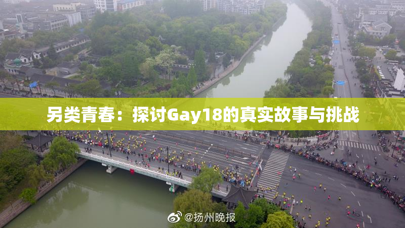 另类青春：探讨Gay18的真实故事与挑战