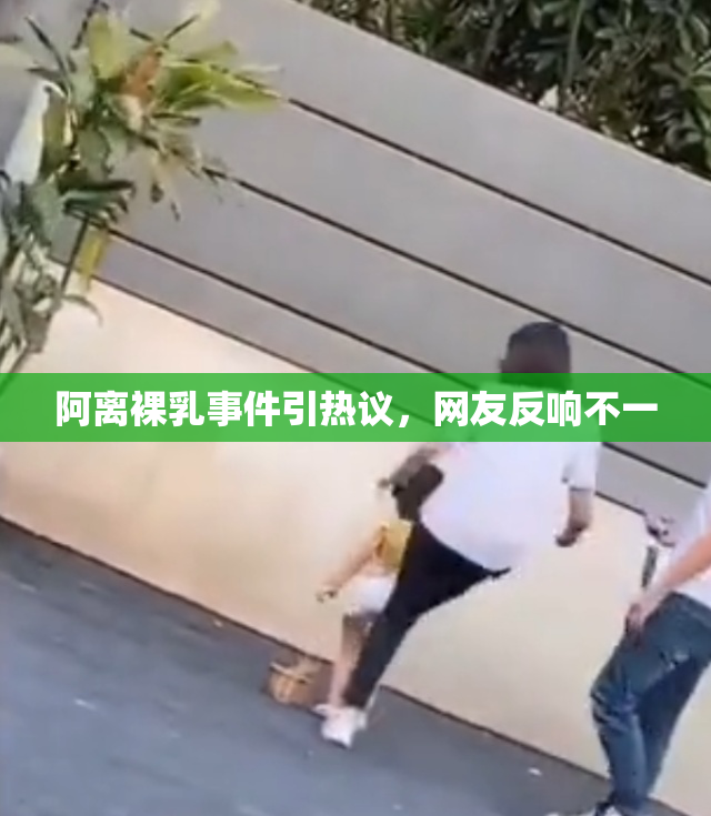 阿离裸乳事件引热议，网友反响不一