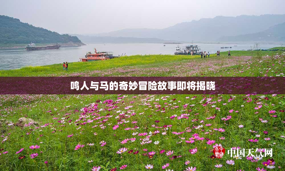 鸣人与马的奇妙冒险故事即将揭晓