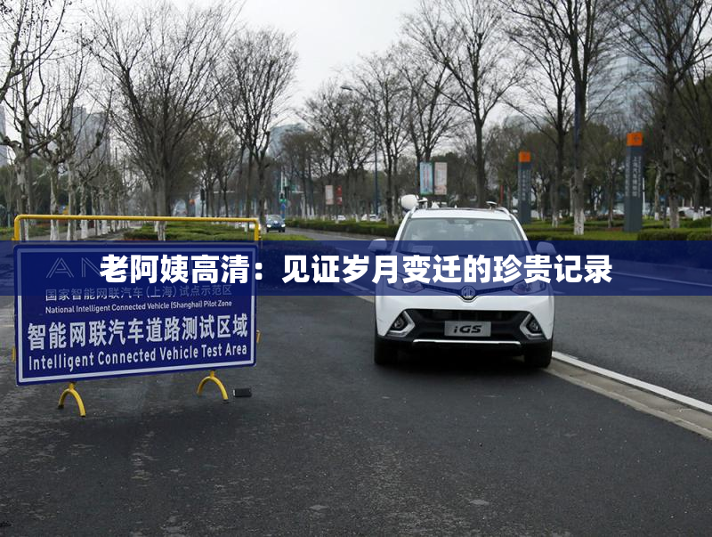 老阿姨高清：见证岁月变迁的珍贵记录