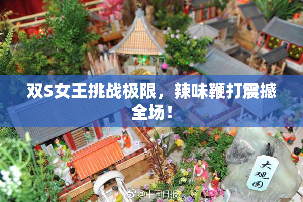 双S女王挑战极限，辣味鞭打震撼全场！