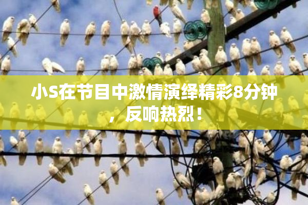 小S在节目中激情演绎精彩8分钟，反响热烈！