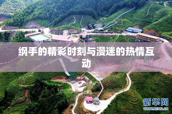 纲手的精彩时刻与漫迷的热情互动