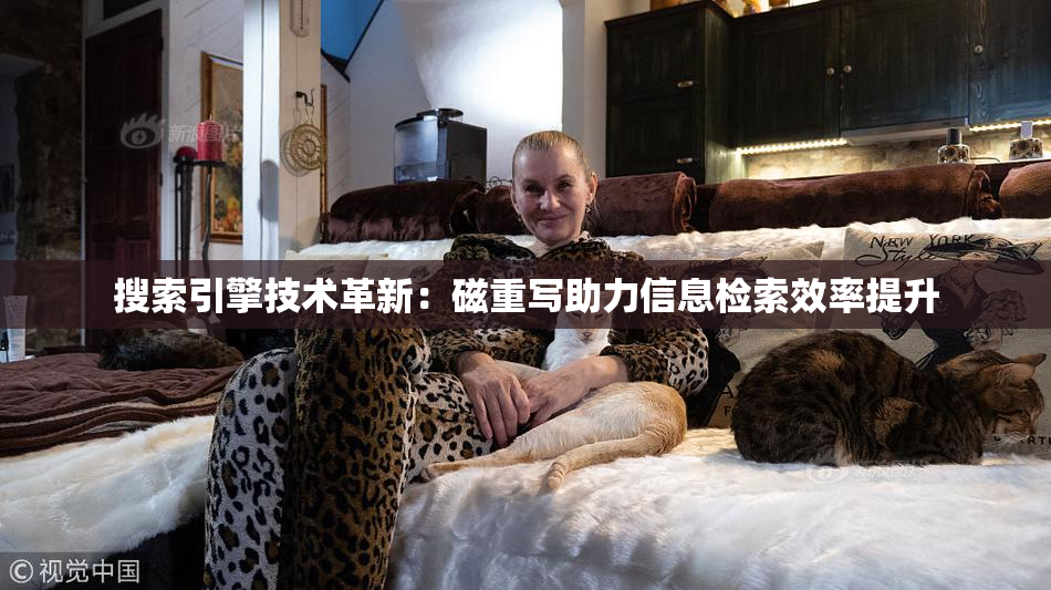 搜索引擎技术革新：磁重写助力信息检索效率提升
