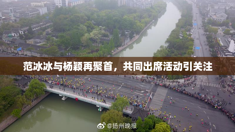 范冰冰与杨颖再聚首，共同出席活动引关注