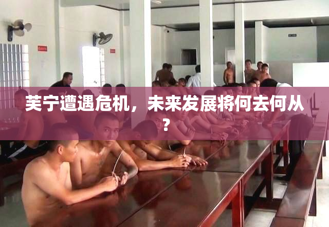 芙宁遭遇危机，未来发展将何去何从？