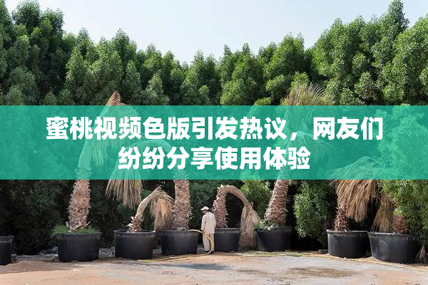 蜜桃视频色版引发热议，网友们纷纷分享使用体验