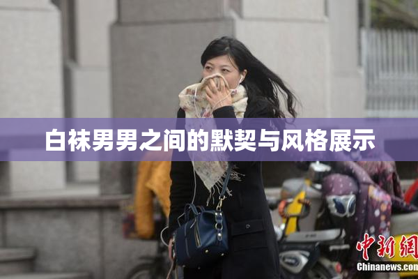 白袜男男之间的默契与风格展示