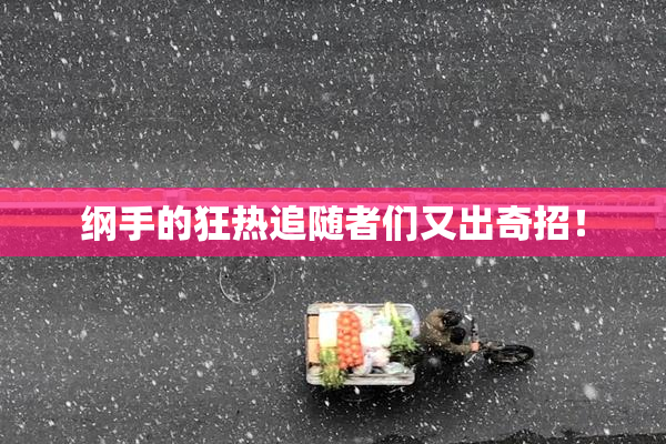 纲手的狂热追随者们又出奇招！