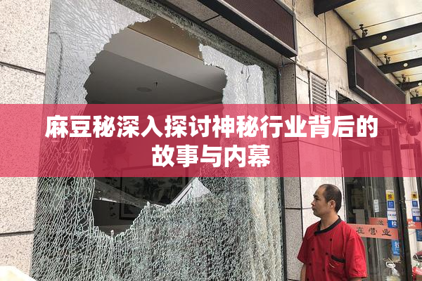 麻豆秘深入探讨神秘行业背后的故事与内幕