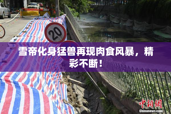 雪帝化身猛兽再现肉食风暴，精彩不断！