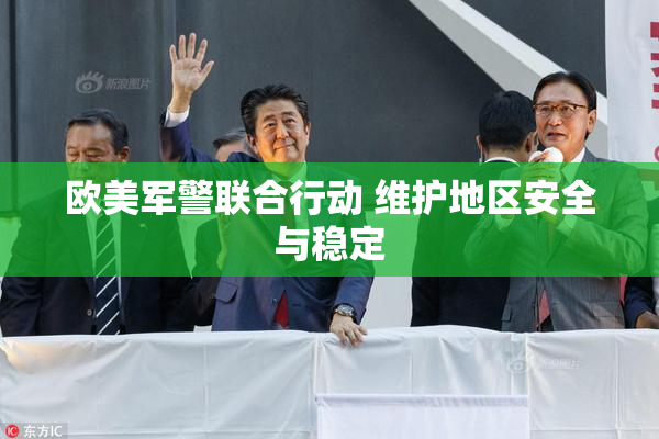 欧美军警联合行动 维护地区安全与稳定