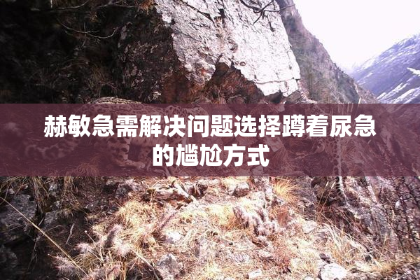 赫敏急需解决问题选择蹲着尿急的尴尬方式