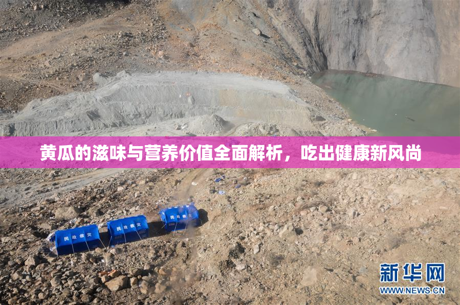 黄瓜的滋味与营养价值全面解析，吃出健康新风尚