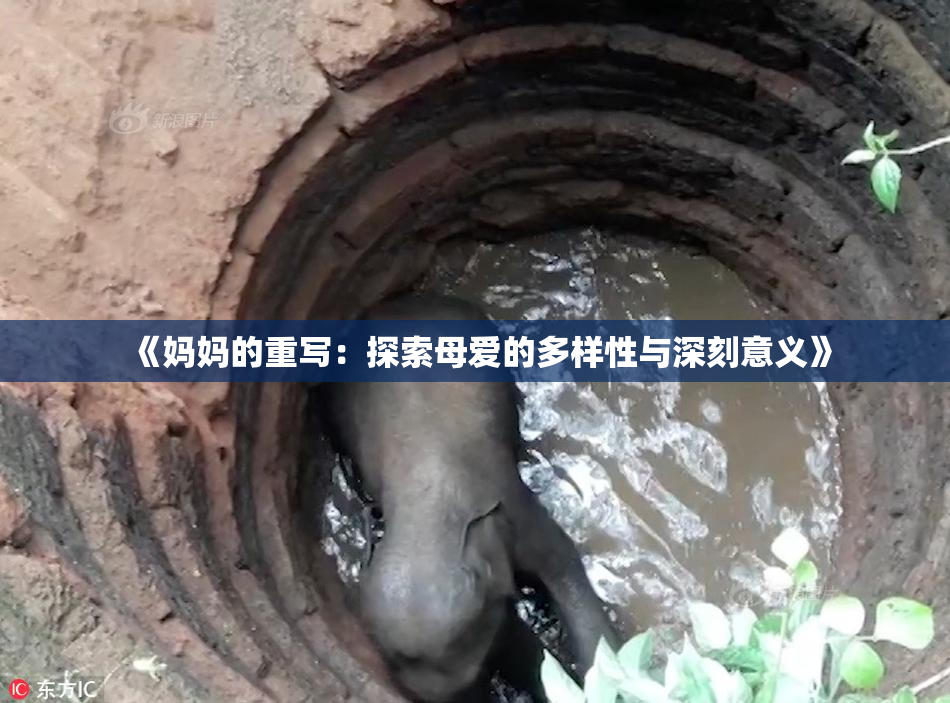 《妈妈的重写：探索母爱的多样性与深刻意义》