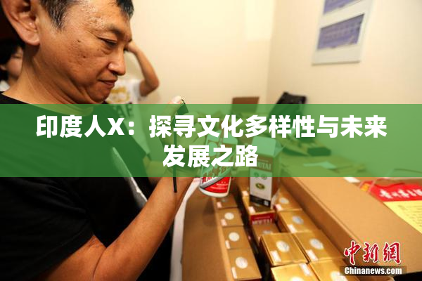 印度人X：探寻文化多样性与未来发展之路