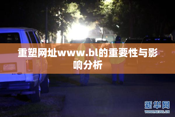重塑网址www.bl的重要性与影响分析