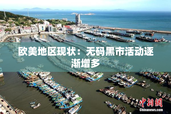 欧美地区现状：无码黑市活动逐渐增多
