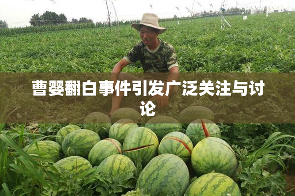 曹婴翻白事件引发广泛关注与讨论