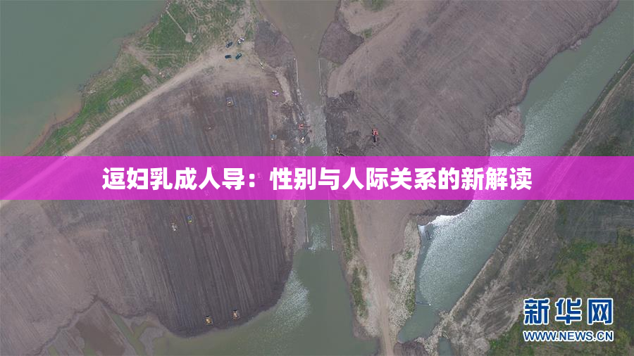 逗妇乳成人导：性别与人际关系的新解读