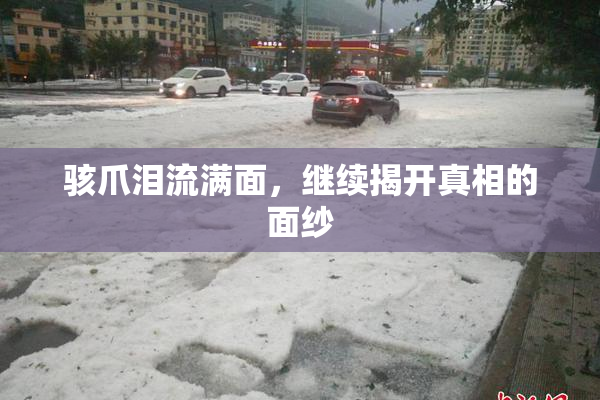 骇爪泪流满面，继续揭开真相的面纱