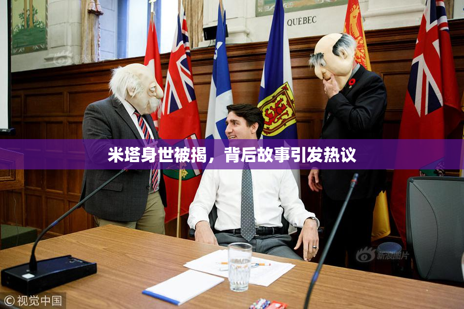 米塔身世被揭，背后故事引发热议