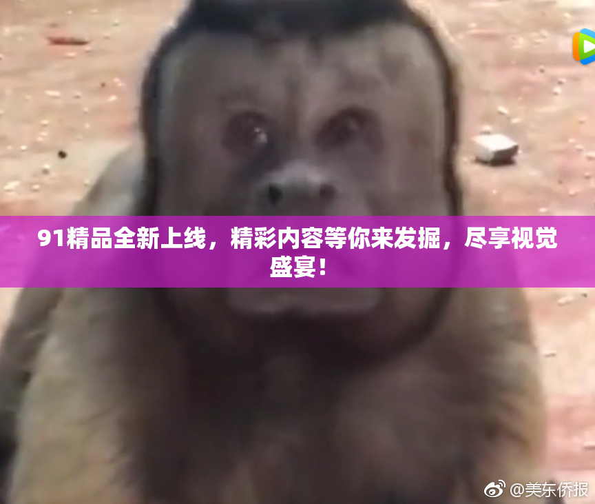 91精品全新上线，精彩内容等你来发掘，尽享视觉盛宴！