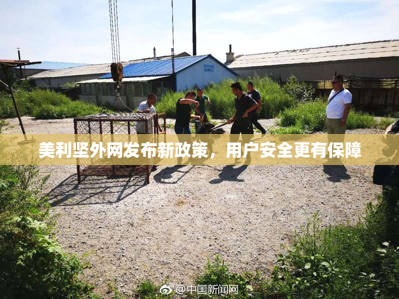 美利坚外网发布新政策，用户安全更有保障